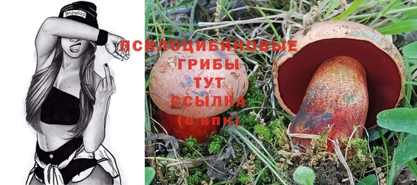 ПСИЛОЦИБИНОВЫЕ ГРИБЫ Ветлуга