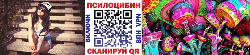 OMG ссылка  где купить наркоту  Весьегонск  Псилоцибиновые грибы Psilocybine cubensis 
